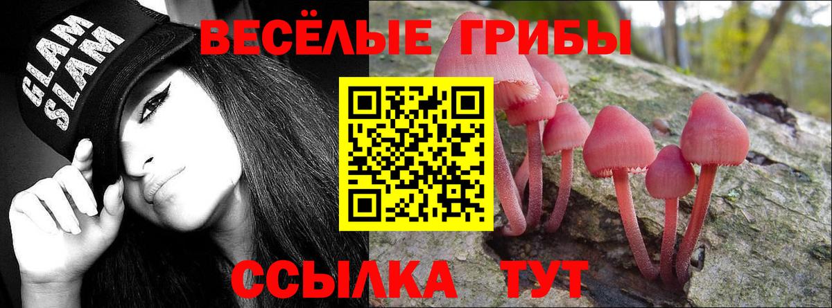 где купить   Вход с VPN  Симферополь  Псилоцибиновые грибы мицелий 