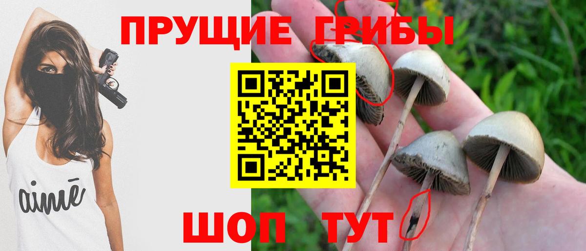 Псилоцибиновые грибы ЛСД Симферополь